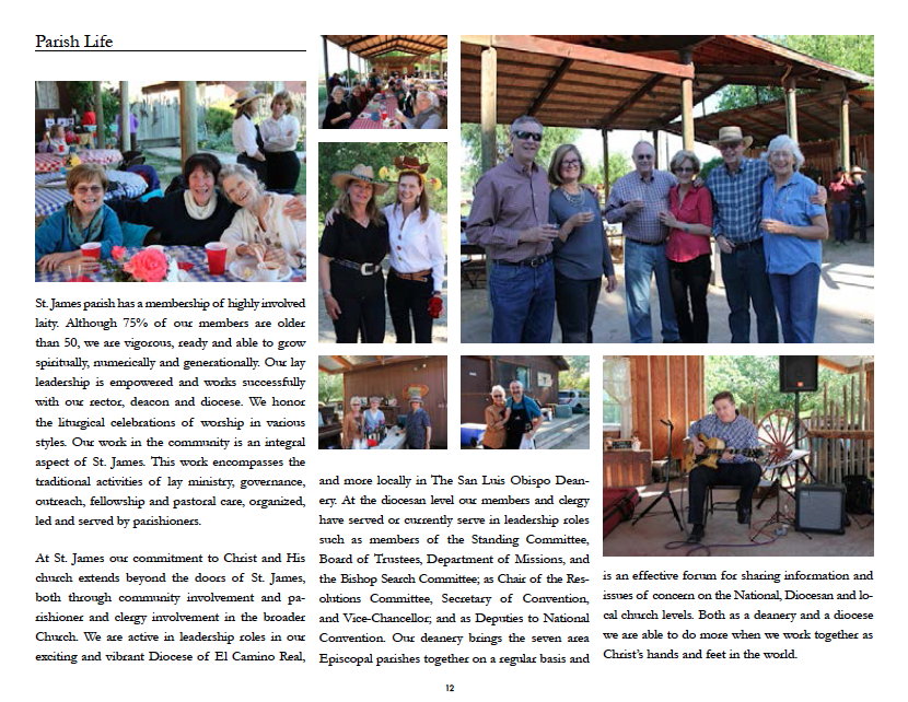 Brochure Design by sara.morales912 for this project | Design #3783277