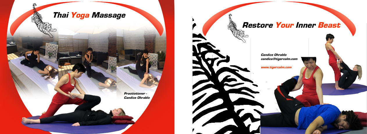 Brochure Design by indesigner for this project | Design #3837379