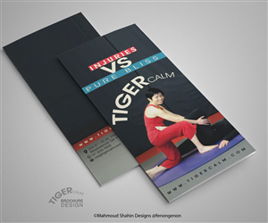 Brochure Design by Mahmoud Shahin for this project | Design: #3846704