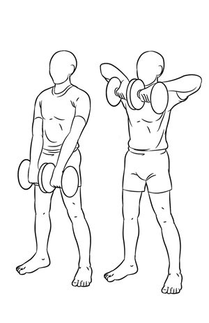 Illustration Design by arif for this project | Design: #3899223