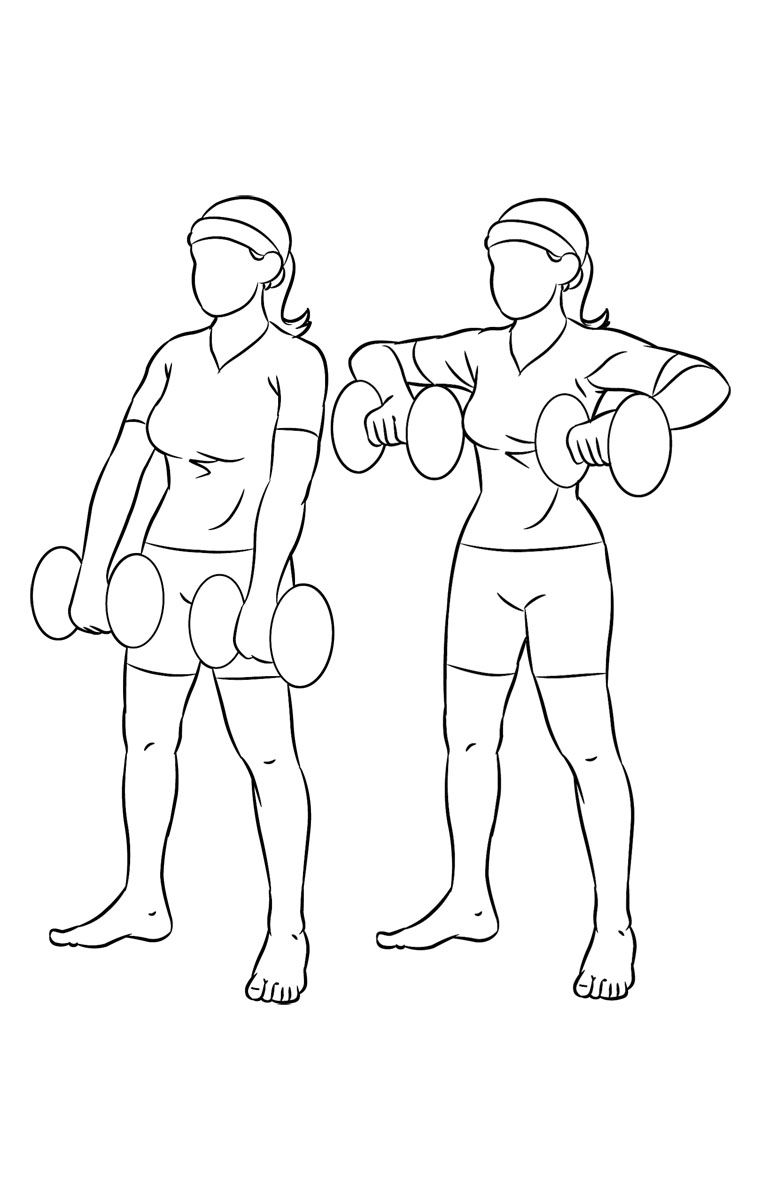 Illustration Design by arif for this project | Design #3910934