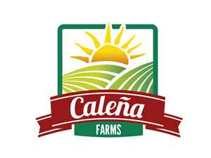 Diseño de Logo por hungary333