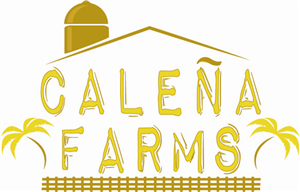 Logo Design by Womack