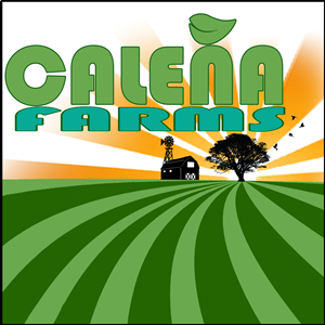 Logo Design by Swirl Designs