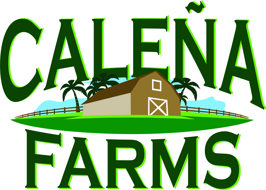 Diseño de Logo por daveykeys70 para Matrix Merchandising | Diseño #3831916