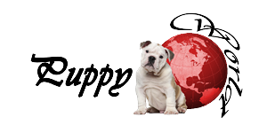 Logo Design by colibrivisionci