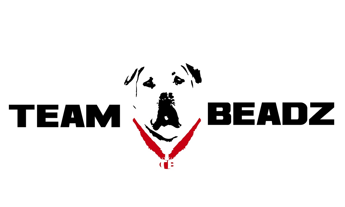 Diseño de Logo por Laleh para este proyecto | Diseño #1025463