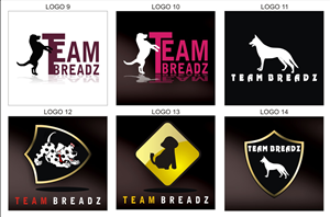 Logo Design by Gulzaar khan for this project | Design: #1020226