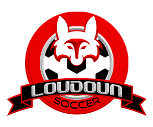 Logo Design by iwangmodulus