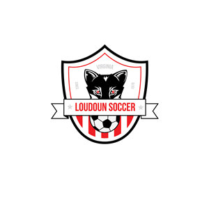 Logo Design by Enea for this project | Design #3825973
