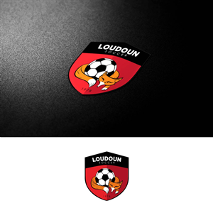 Logo Design by DDD for this project | Design: #3797173