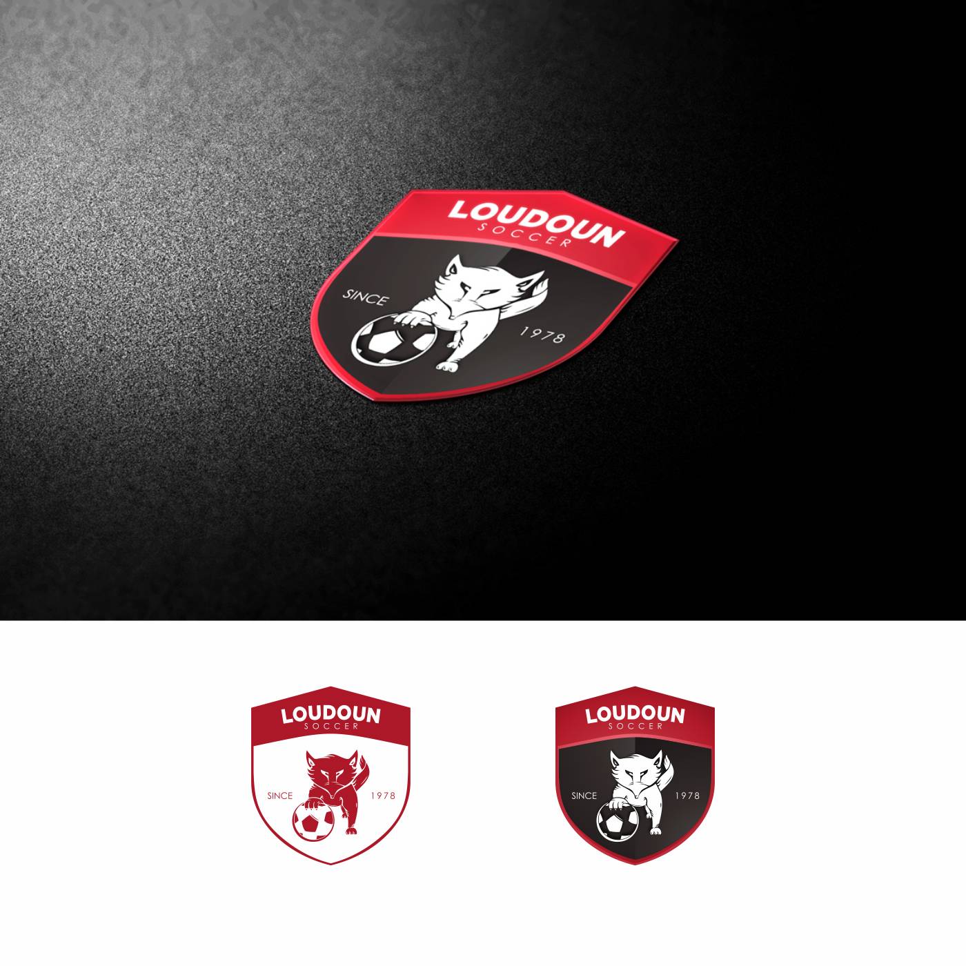 Logo Design by DDD for this project | Design #3798234