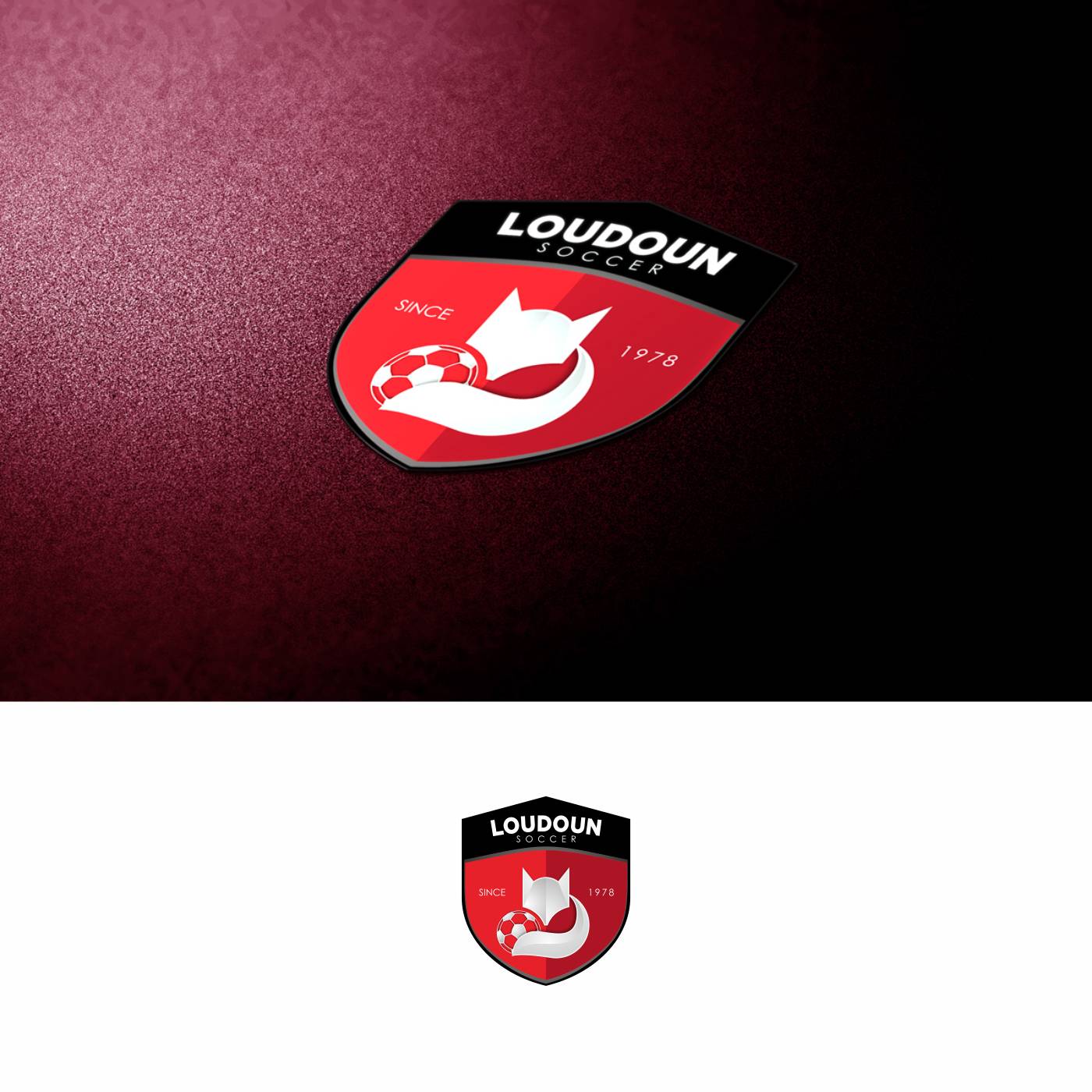 Logo Design by DDD for this project | Design #3815937