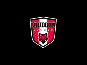 Logo Design by FR