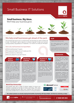 34 flyer designs small business flyer design project for squarealpha
