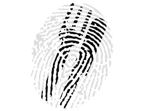 Icon Design by Liam Barr for this project | Design #1024385