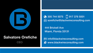 Business Card Design by Mic_Studio_Bam for this project | Design: #3782009