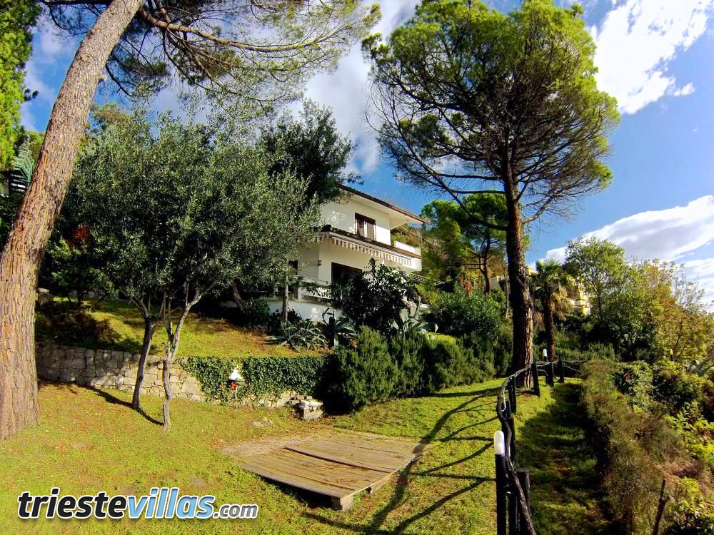 Logo Design by Articos for Milou Sas di Davide Carlin & c. | Design #3838972