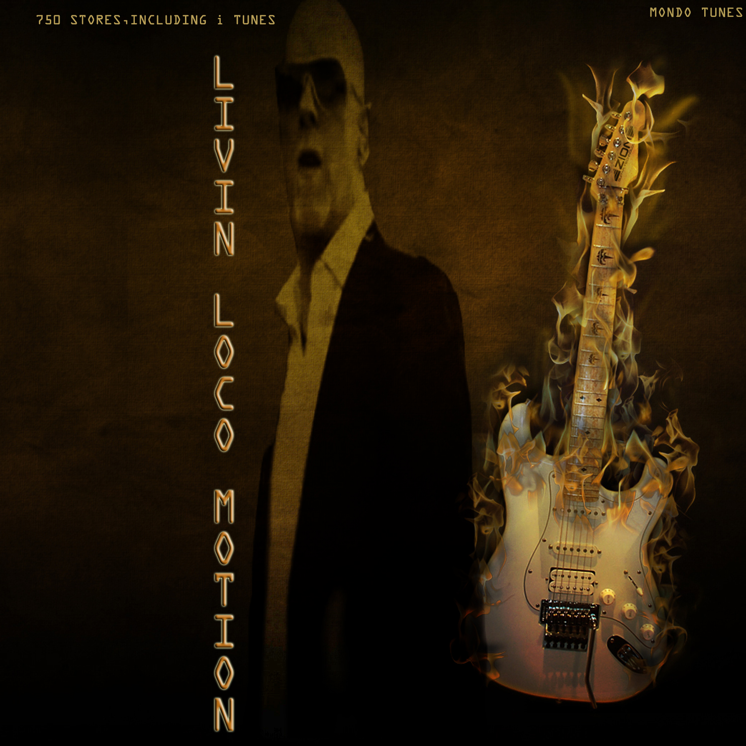 Diseño de Portada de CD por Abeer Ali para este proyecto | Diseño #1013110