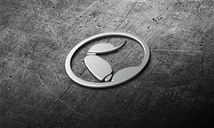 Logo Design by soul for this project | Design: #3793482