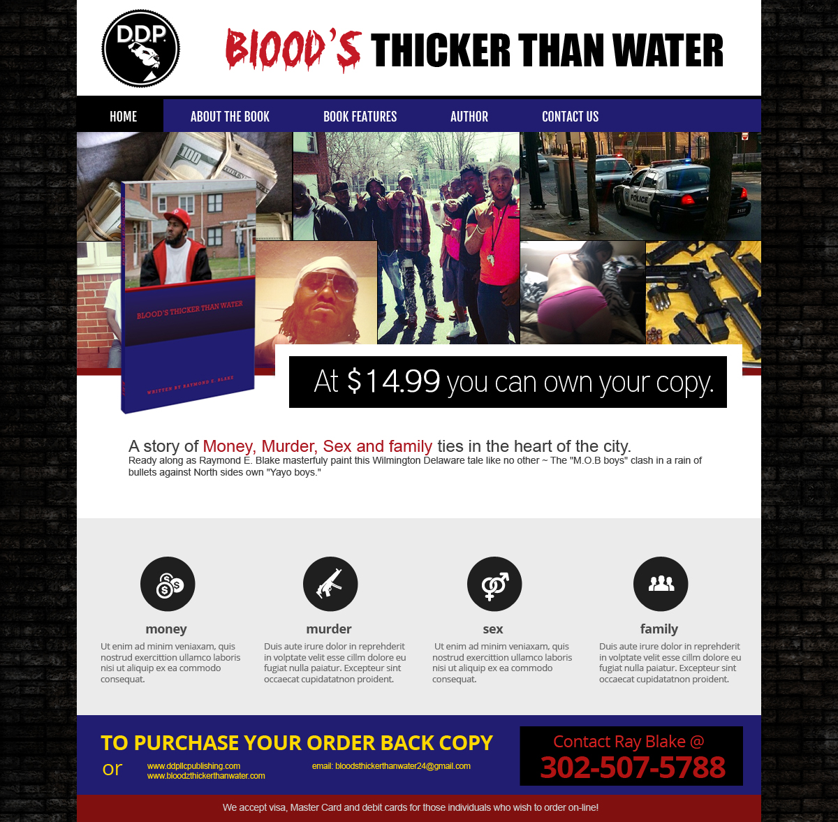Diseño Web por jeckx2 para DDP | Diseño #3821553