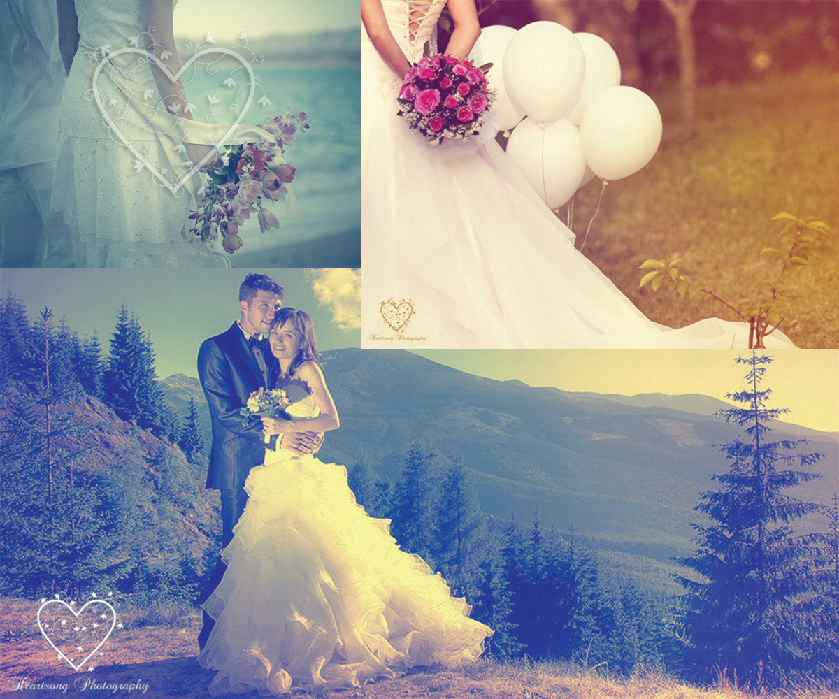 Logo Design by anshtoyj for this project | Design #3848844