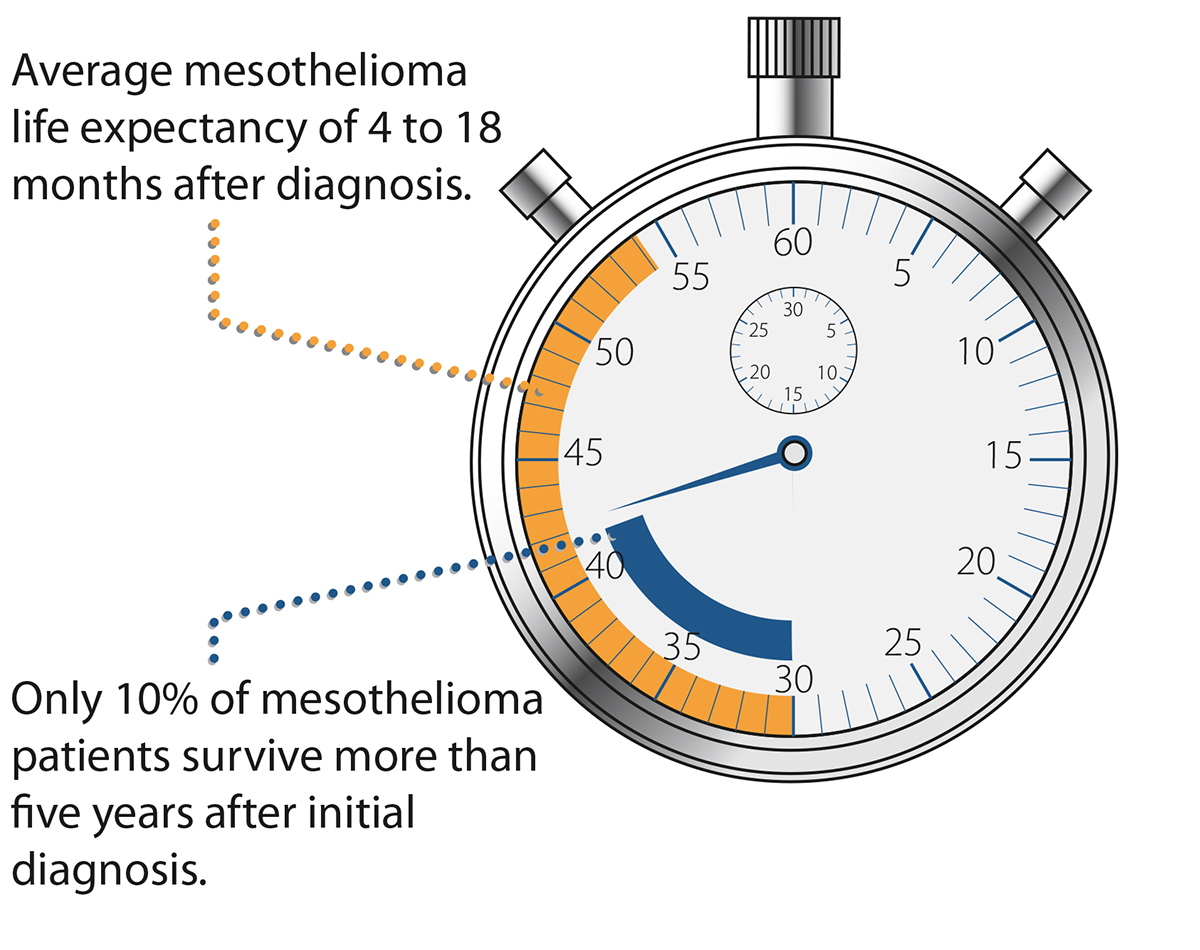 Illustration Design by rj holl Art Directions for Seeger Weiss LLP | Design: #3923530