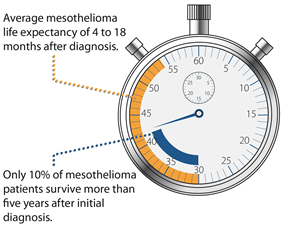 Illustration Design by rj holl Art Directions for Seeger Weiss LLP | Design: #3923530