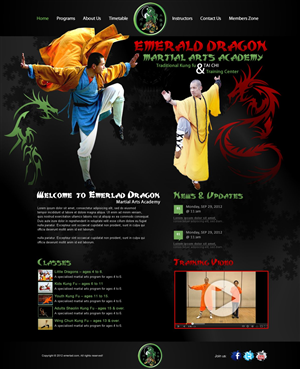 Web Design by TechWise for this project | Design #1020840
