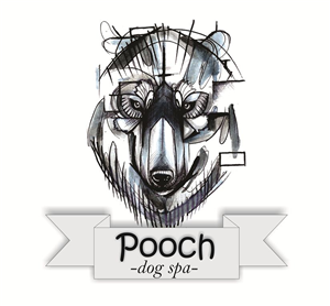 Logo Design by tomy93 for this project | Design #3803649