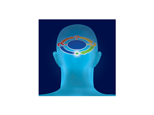 Diseño de Logo por ideartery para DecisionSkills | Diseño: #1042875