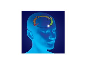 Diseño de Logo por ideartery para DecisionSkills | Diseño: #1042878