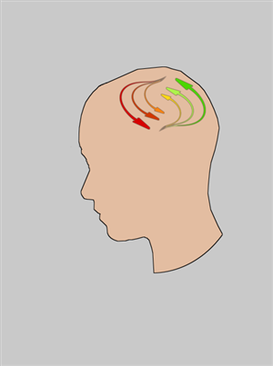 Logo Design by thelogoshark for DecisionSkills | Design: #1003949