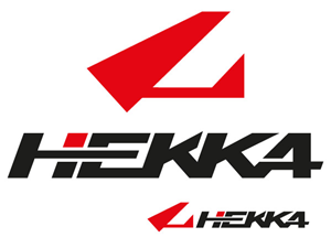 Logo Design by ray.design