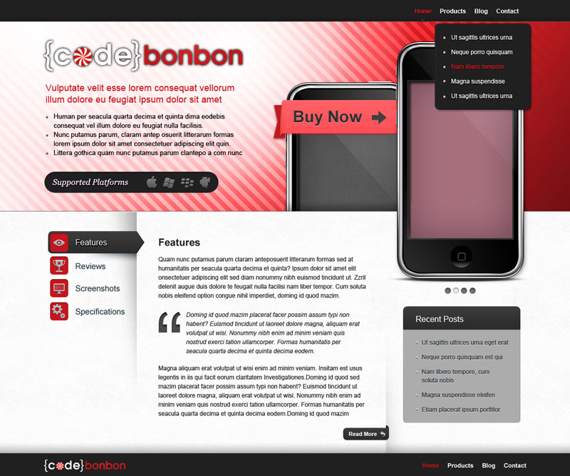 Landing Page Design by LFS Designs for CodeBonbon Inc. | Design #129721