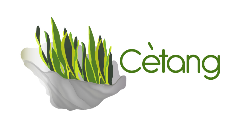 Logo Design by Hendrix Advertising for Cetang S.R.L.S | Design #3893020