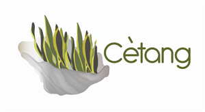 Logo Design by Hendrix Advertising