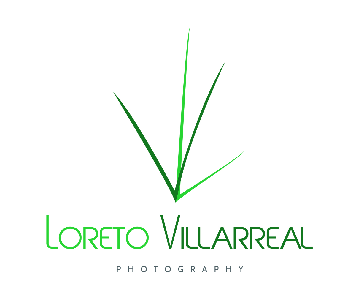 Logo Design by Daniel Antonio Ramirez Bandres for Loreto Villarreal | Design #3921244