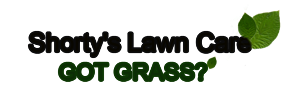 Diseño de Logo por pm jayasena para este proyecto | Diseño: #123652