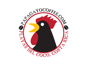 Logo Design by Epifanie