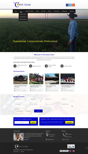 Diseño Wordpress por pb para AuctionServices.com, Inc. | Diseño: #3825328