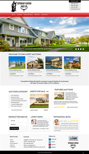 Wordpress Design by pb for AuctionServices.com, Inc. | Design: #3845184