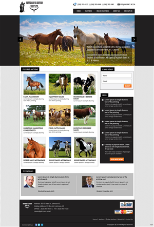 Wordpress Design by pb for AuctionServices.com, Inc. | Design: #3845215