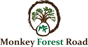 Logo Design by SHRAVAN D.S