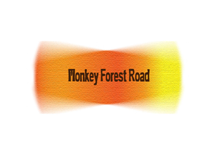 Logo Design by Thomas Adam
