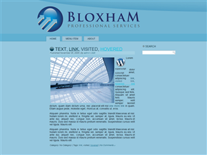 Diseño Wordpress por SouthyGFX para este proyecto | Diseño #1029327