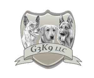 Logo Design by Hunter Graphics