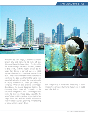 Catalogue Design by Pacannim Designs[pacannim.com] for this project | Design: #1024923