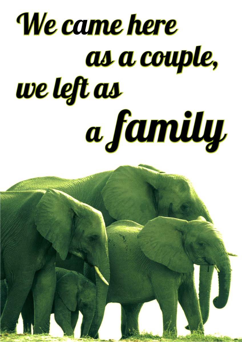 Diseño de Póster por Amduat Design para este proyecto | Diseño #1015464