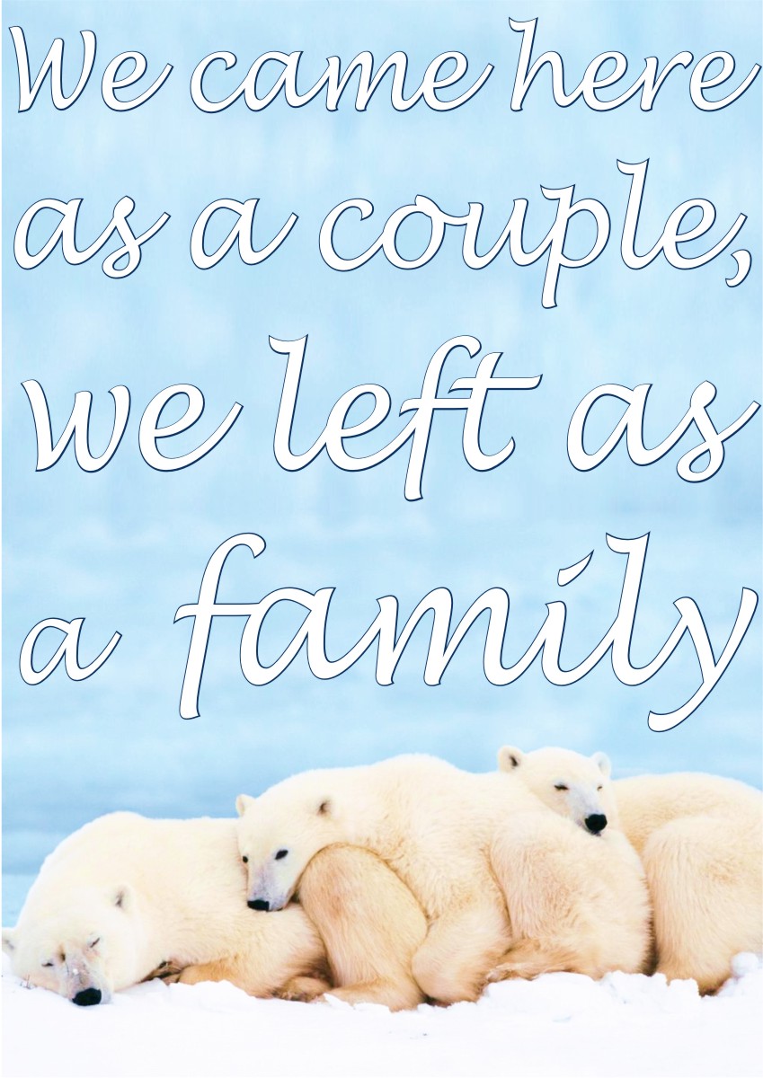 Diseño de Póster por Amduat Design para este proyecto | Diseño #1015478